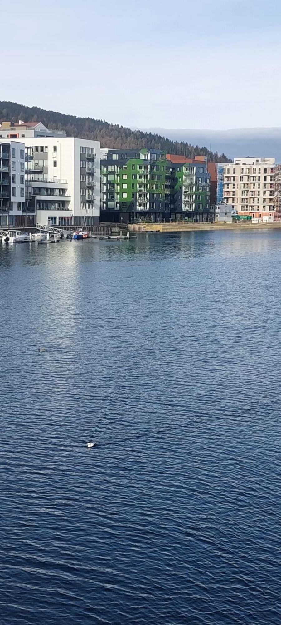 Bergen City Apartment Apartamento Bergen